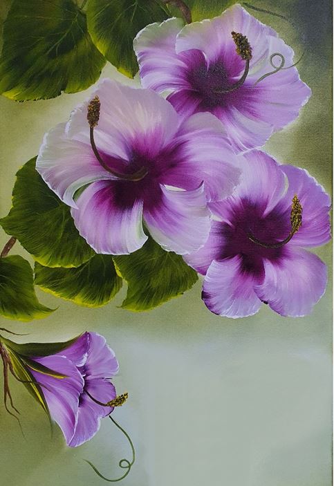 Hibiskus
